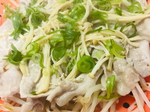 簡単さっぱり豚しゃぶ肉ともやしの蒸し料理